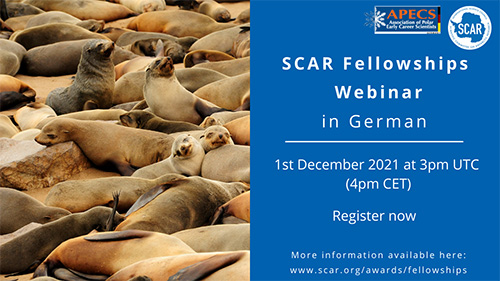 2021 Fellowships webinar German web