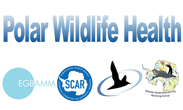 Polar Wildlife Health Eg Bamm