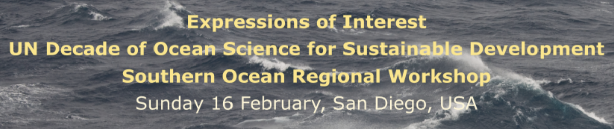 Southern Ocean Regional Workshop