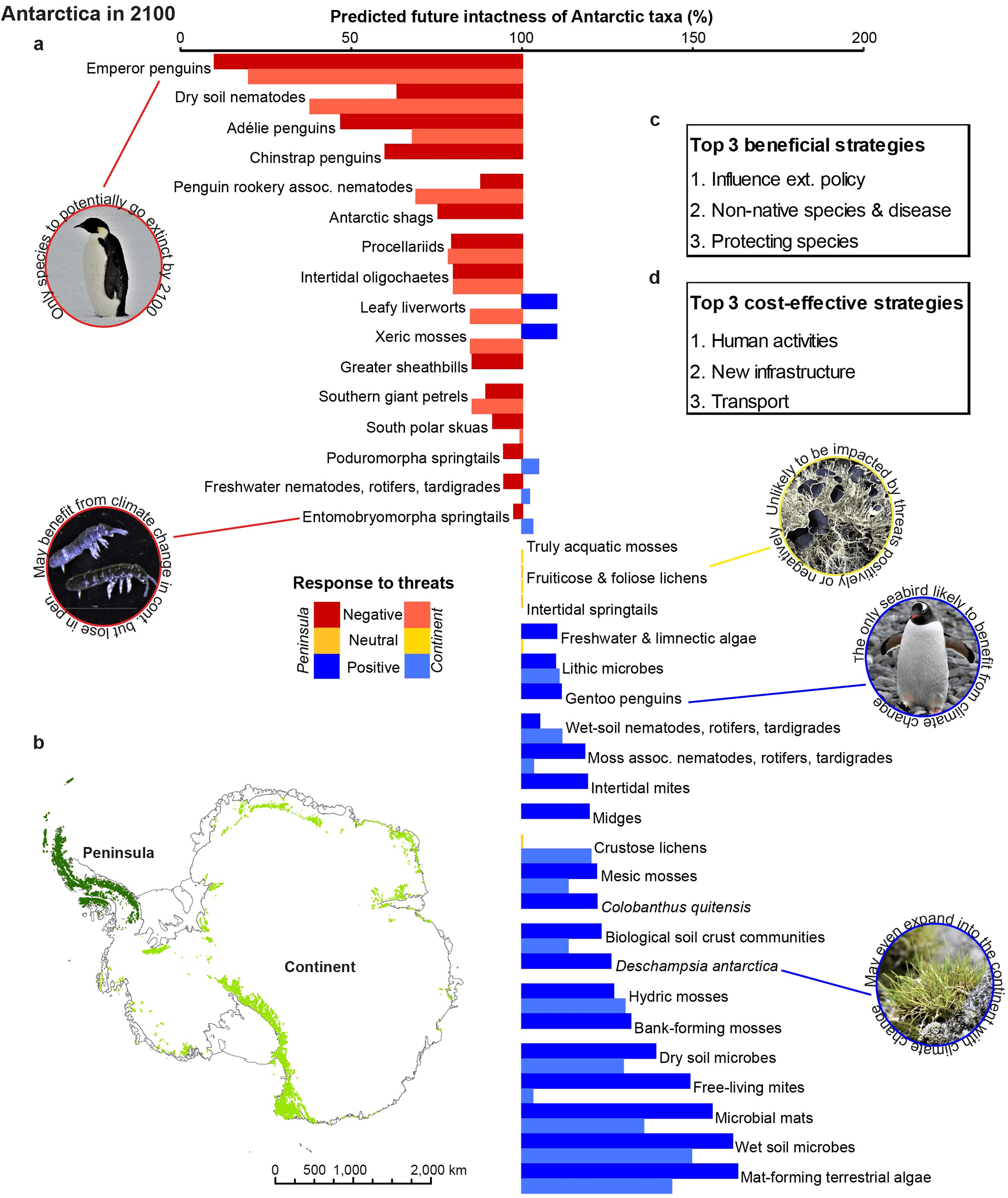 threat management priorities figure min