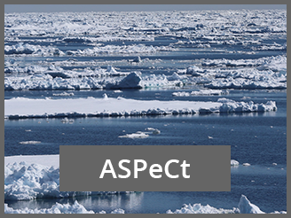 ASPeCt Project BEPSII D.Lannusel