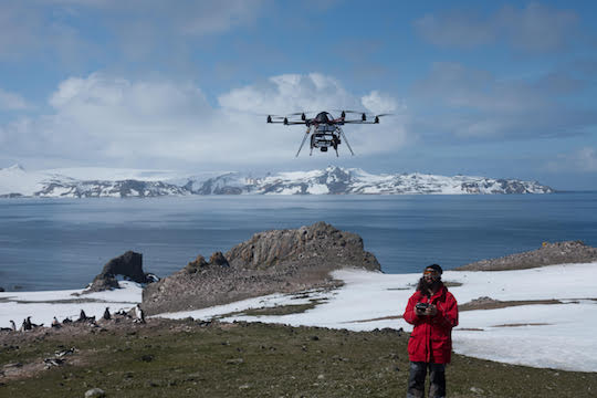 1UAV over Gentoo penguin colony