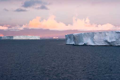 AVdP SCAR 0037 tabular icebergs pink sky web