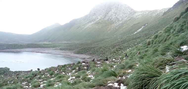 AVdP SubAntarctic 760x360