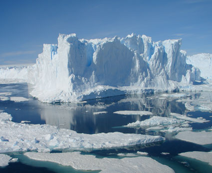 Behrens ice and ocean web