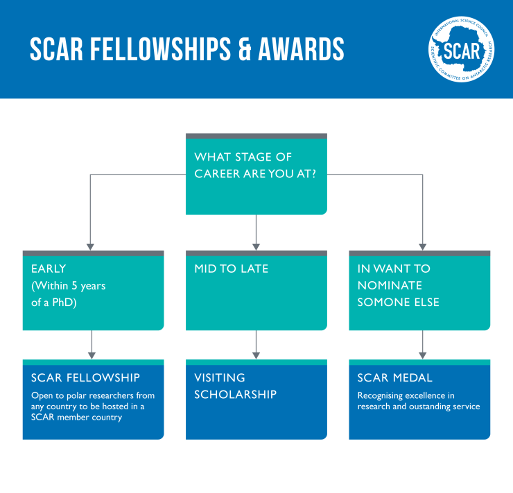 SCAR capacity building flowchart