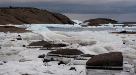 Antartica rocks